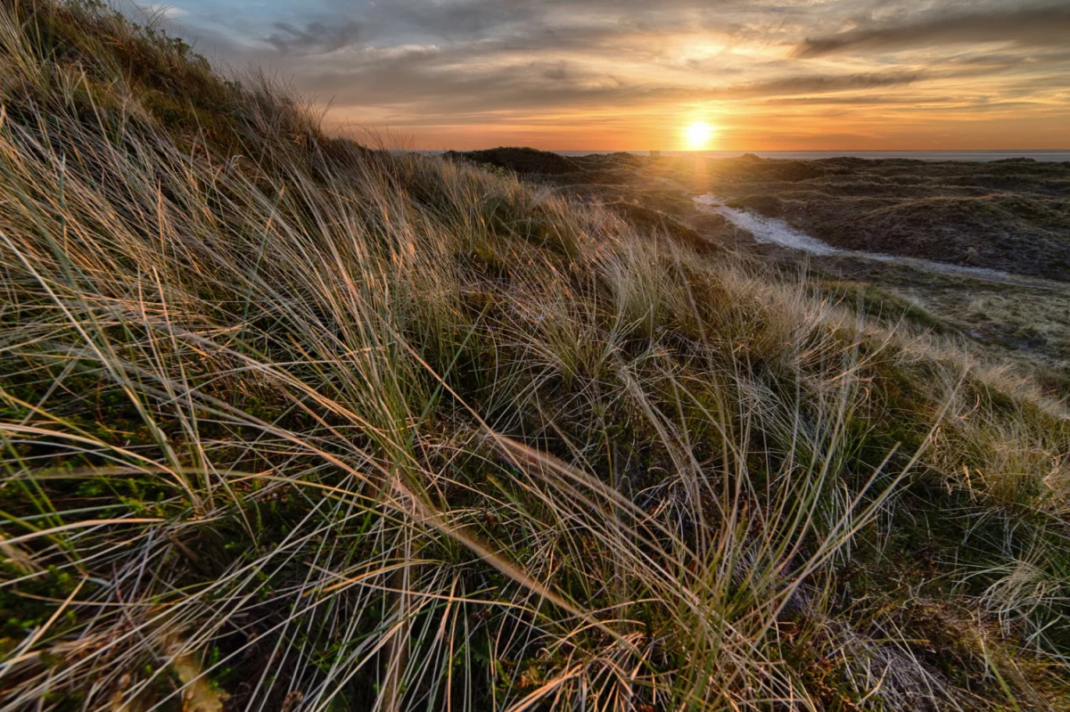 Chciałeś kiedyś Oddać elektrośmiecie w Łodzi ale nie wiesz jak sie za to zabrać?