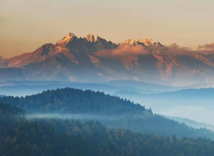 Naucz się jak zbudować inteligentny dom! 12 darmowych porad.