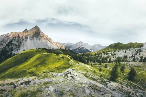 Czy można wyposażyć dom w pracy?